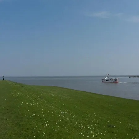 Nemo, Vermittlung Nordsee * Dangast